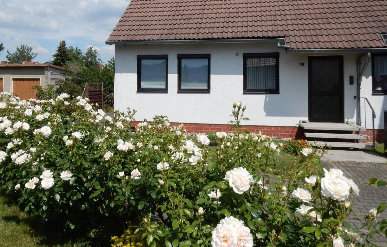 Fewo Am Sassenberg Blankenburg  Exterior photo